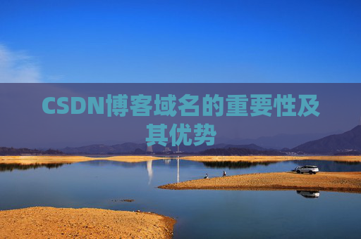 CSDN博客域名的重要性及其优势